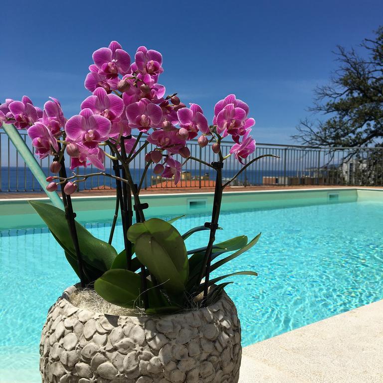 Hotel Mediterraneo Cavi di Lavagna Eksteriør bilde